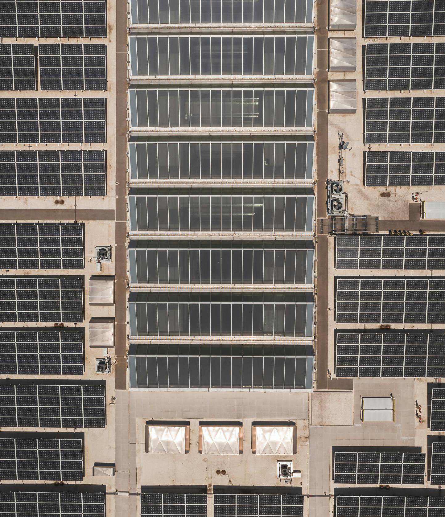 Solar Panel Cleaning